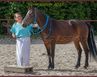 1-13JUIN 1183